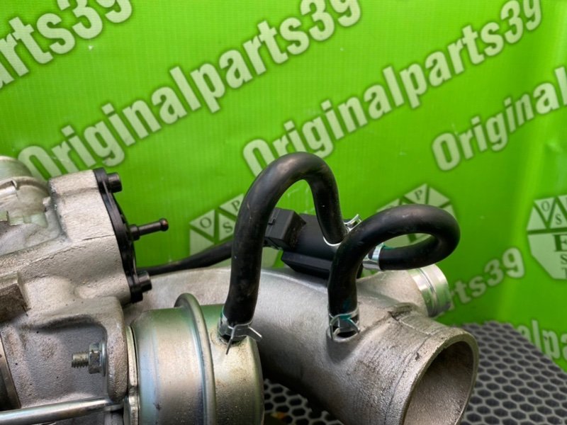 Турбина, 26400 рублей, Калининград