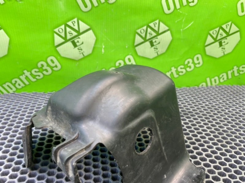 Пыльник, 500 рублей, Калининград