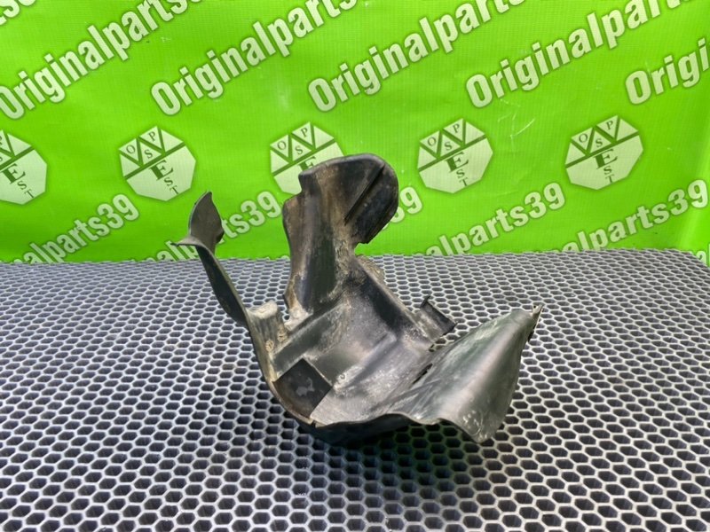 Пыльник, 500 рублей, Калининград