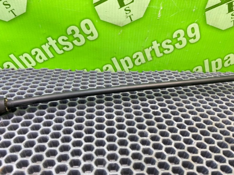 Трубка, 1800 рублей, Калининград