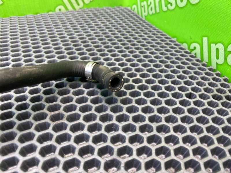 Трубка, 1800 рублей, Калининград