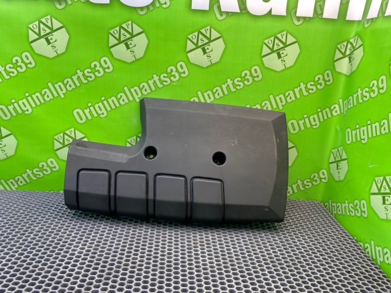 Накладка, 1900 рублей, Калининград