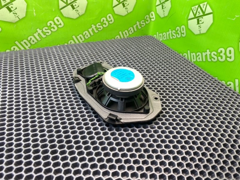 Динамик, 2500 рублей, Калининград