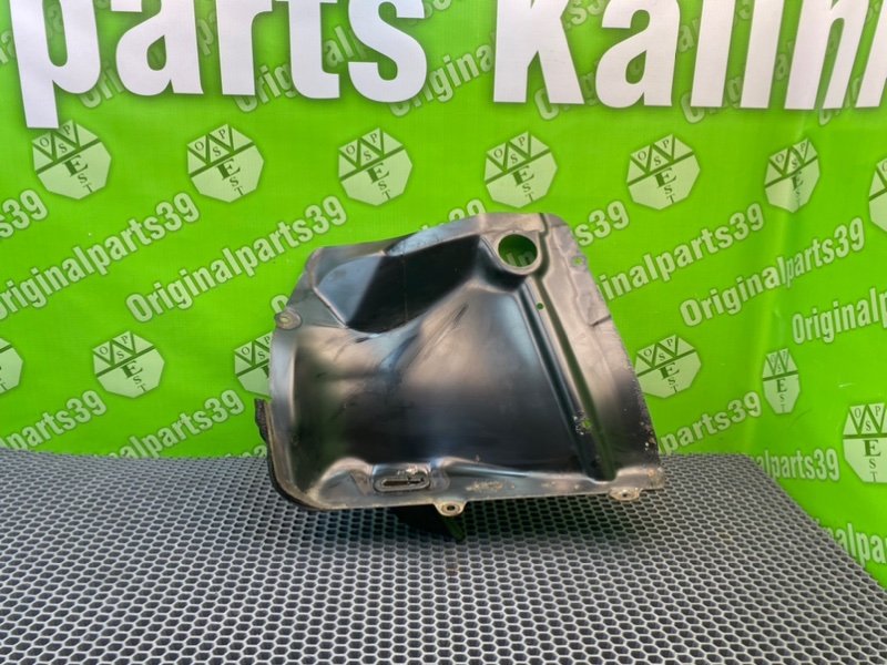 Защита, 800 рублей, Калининград