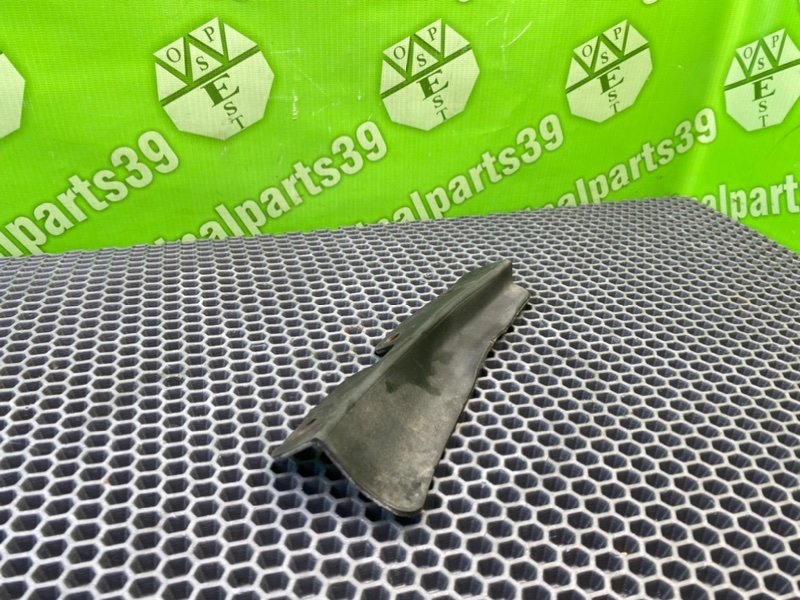 Брызговик, 800 рублей, Калининград