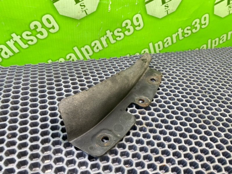 Брызговик, 800 рублей, Калининград