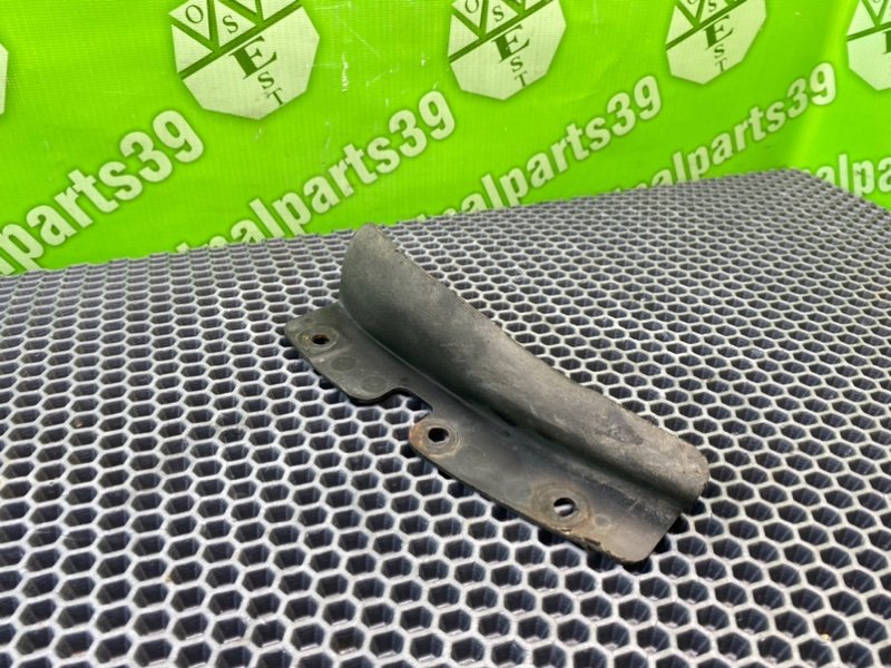 Брызговик, 800 рублей, Калининград