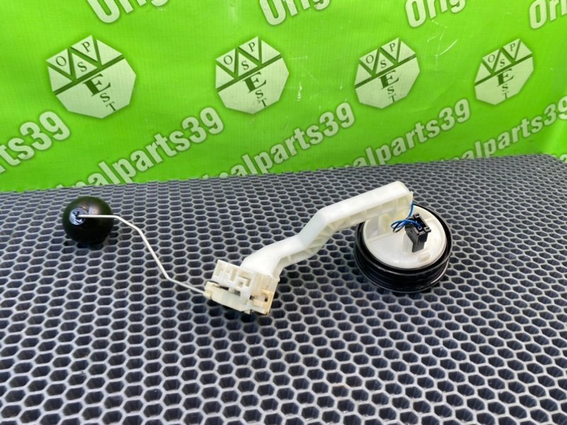 Дут, 1000 рублей, Калининград