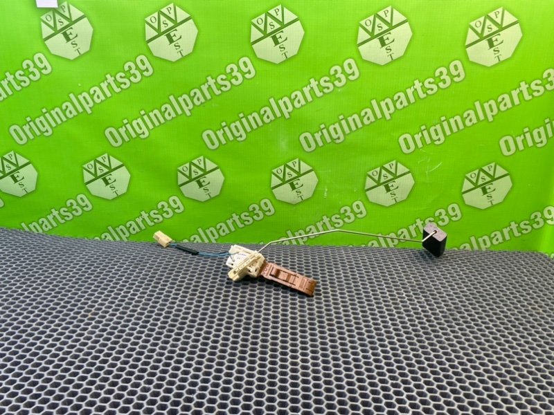 Дут, 2100 рублей, Калининград