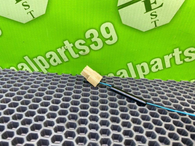 Дут, 2100 рублей, Калининград