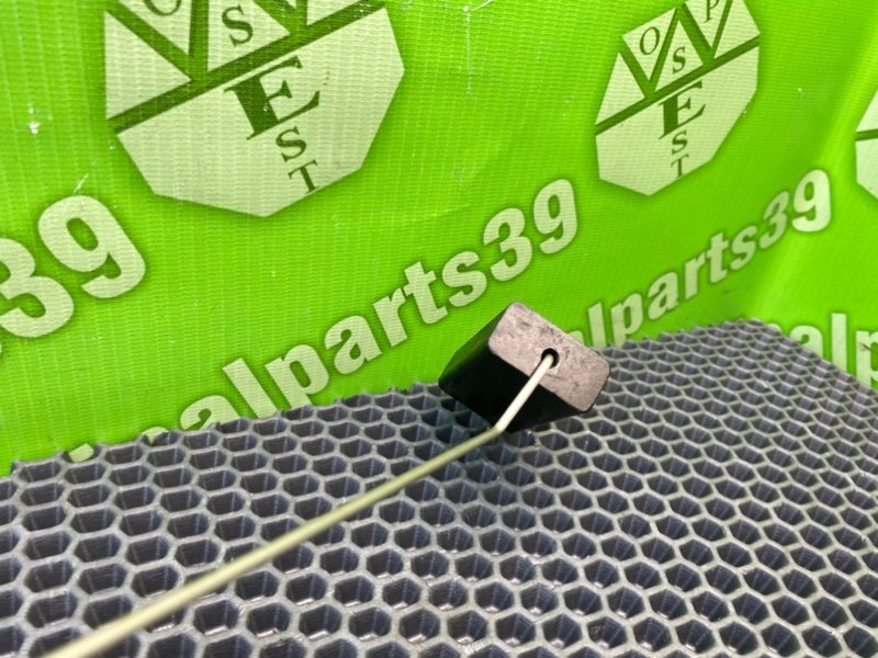 Дут, 2100 рублей, Калининград