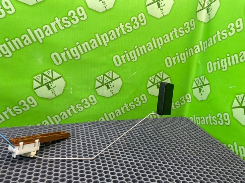 Дут, 2100 рублей, Калининград