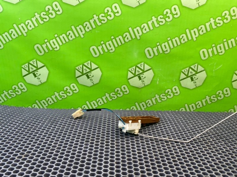 Дут, 2100 рублей, Калининград