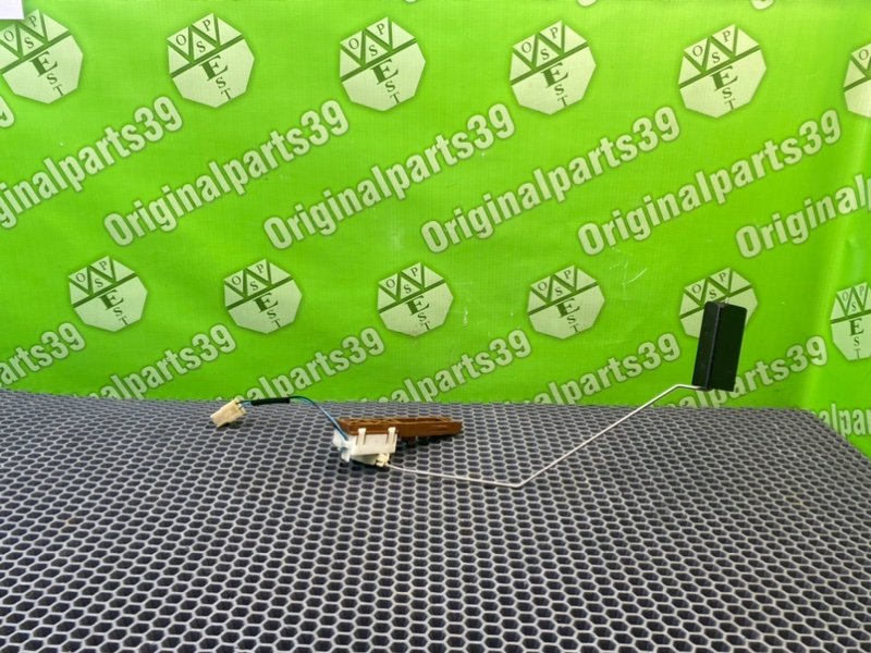 Дут, 2100 рублей, Калининград