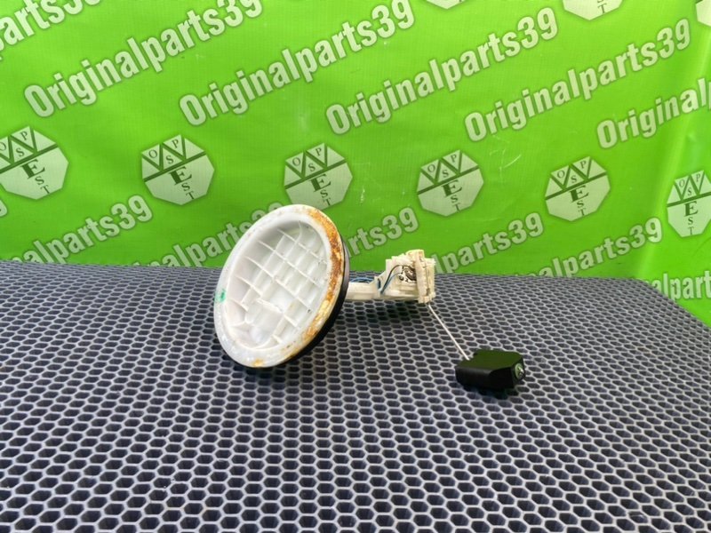 Дут, 2300 рублей, Калининград