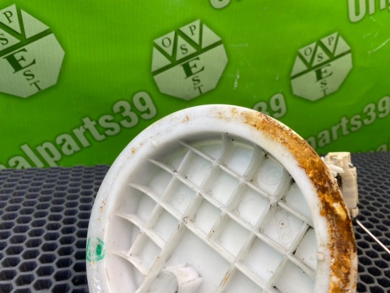 Дут, 2300 рублей, Калининград