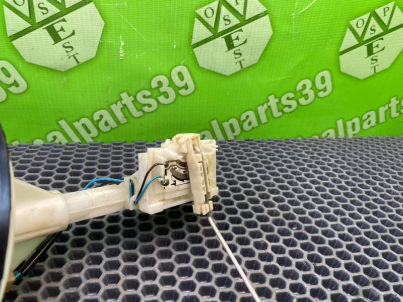 Дут, 2300 рублей, Калининград