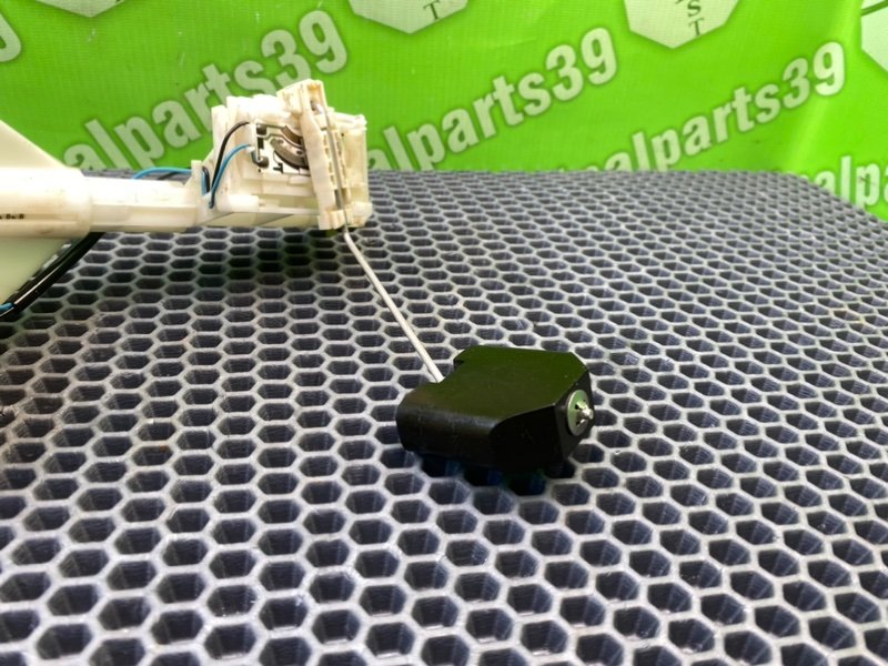 Дут, 2300 рублей, Калининград