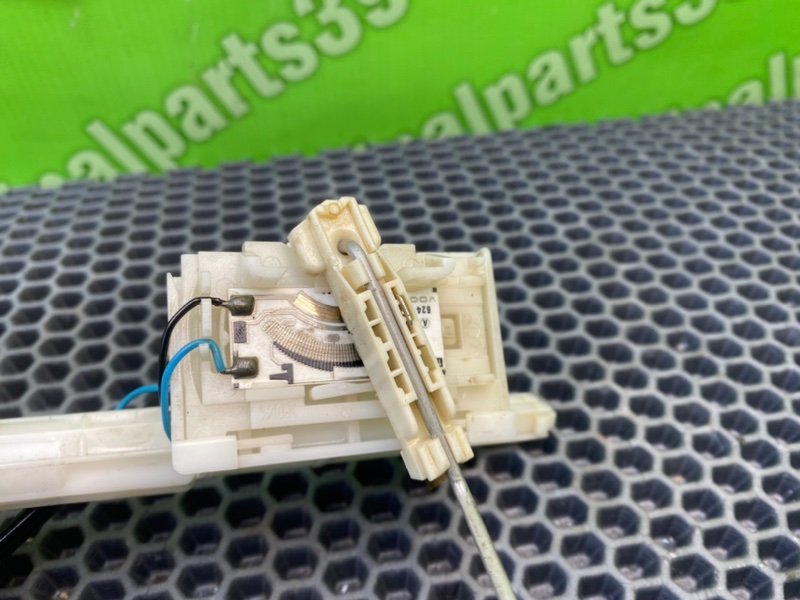 Дут, 2300 рублей, Калининград