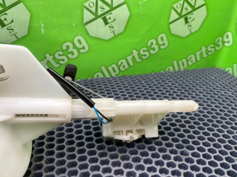 Дут, 2300 рублей, Калининград