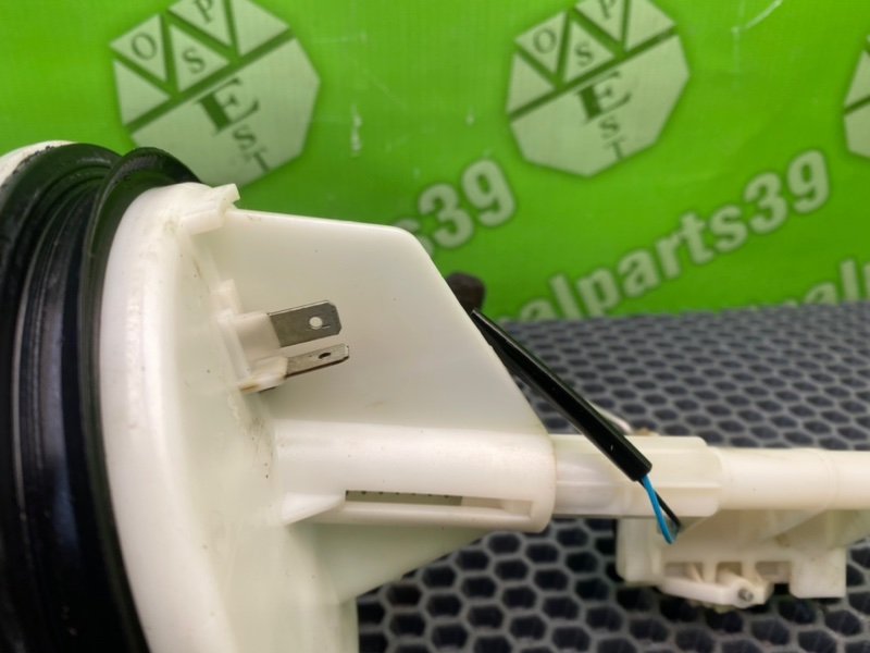 Дут, 2300 рублей, Калининград