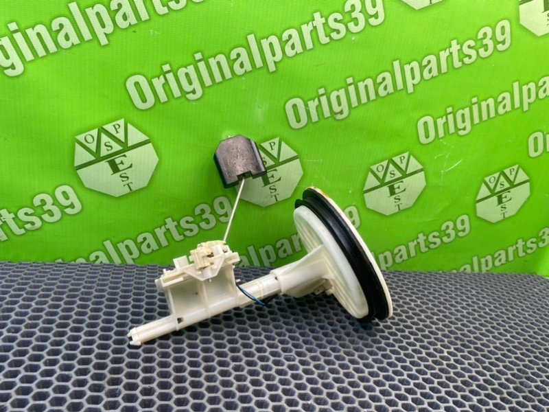 Дут, 2300 рублей, Калининград