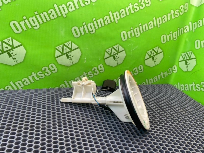 Дут, 2300 рублей, Калининград