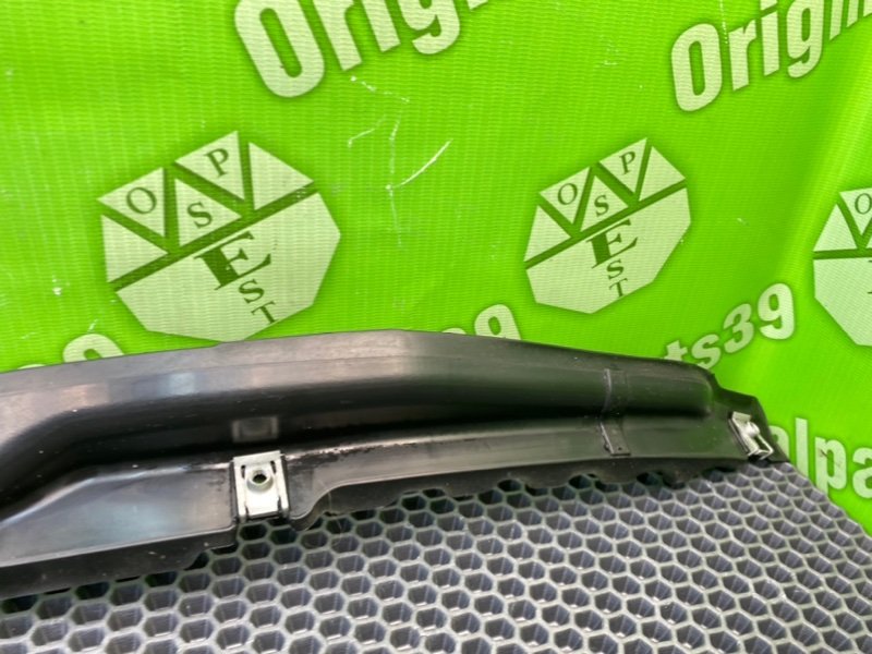 Пыльник крыла, 600 рублей, Калининград