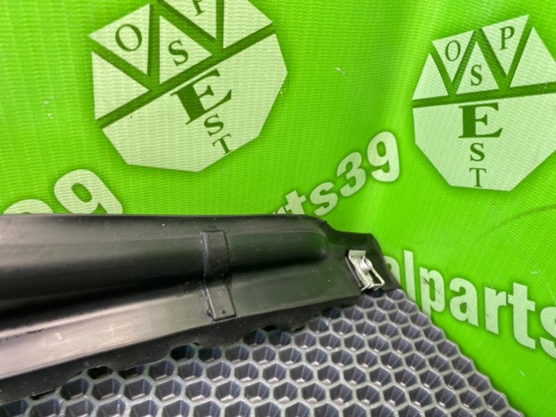 Пыльник крыла, 600 рублей, Калининград