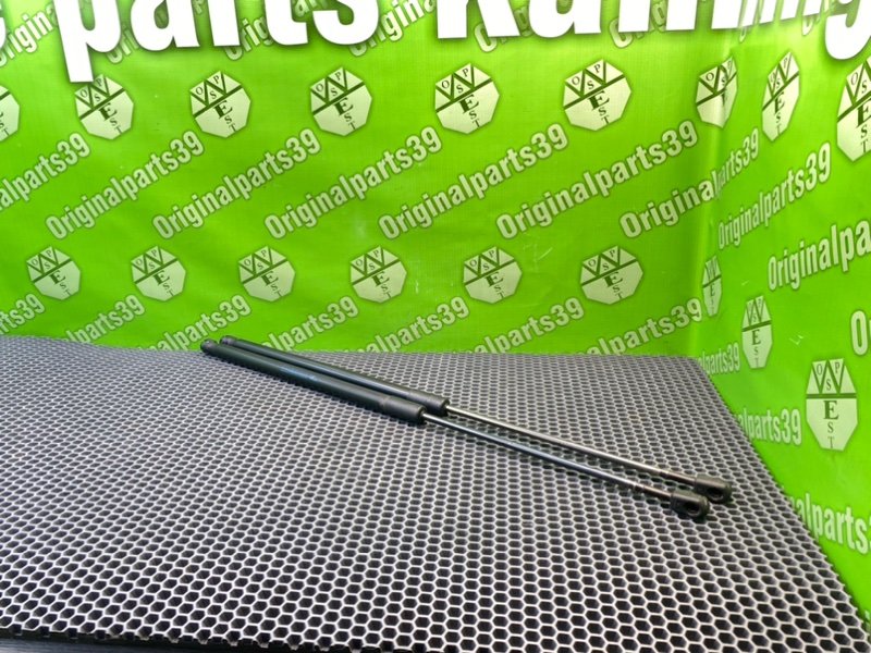 Амортизаторы багажника, 1700 рублей, Калининград