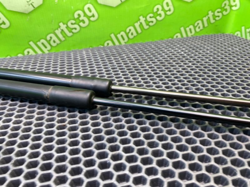 Амортизаторы багажника, 1700 рублей, Калининград