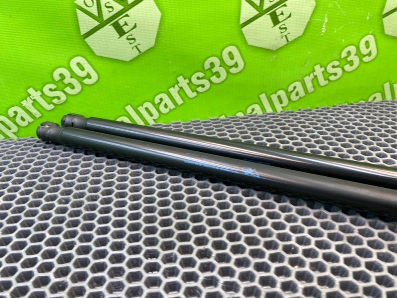 Амортизаторы багажника, 1700 рублей, Калининград