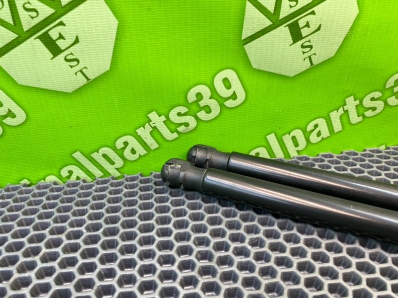 Амортизаторы багажника, 1700 рублей, Калининград