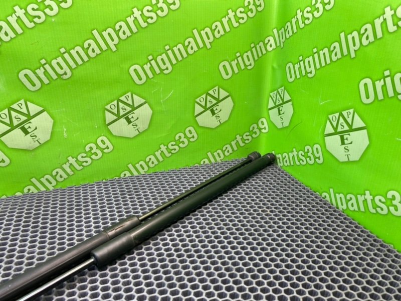 Амортизаторы багажника, 1700 рублей, Калининград