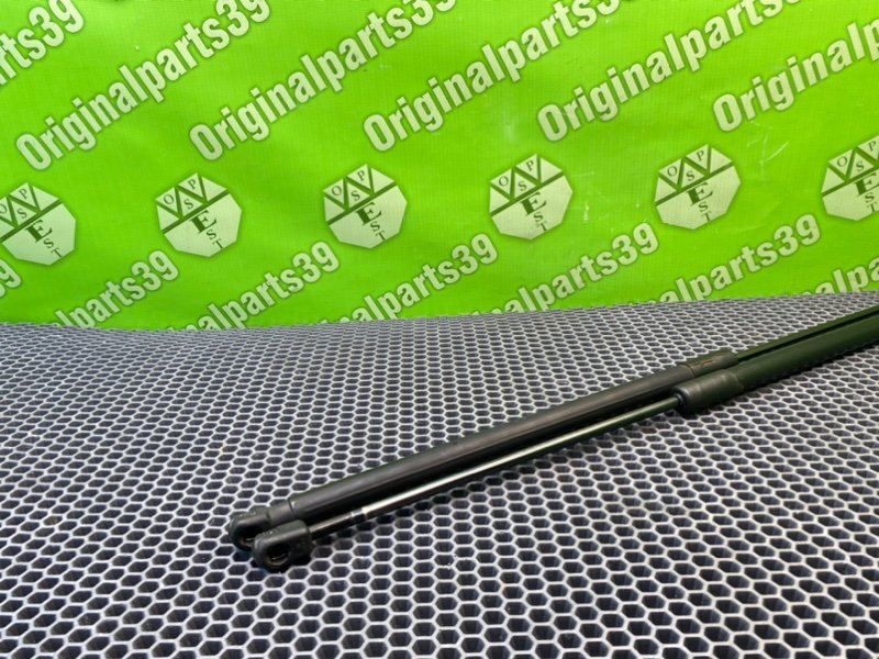 Амортизаторы багажника, 1700 рублей, Калининград