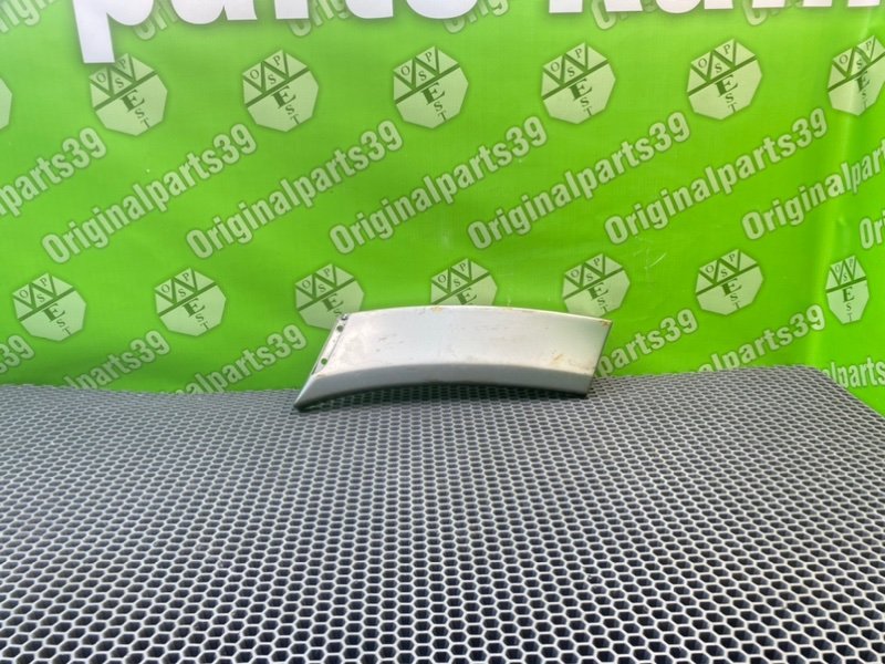 Молдинг крыла, 1000 рублей, Калининград