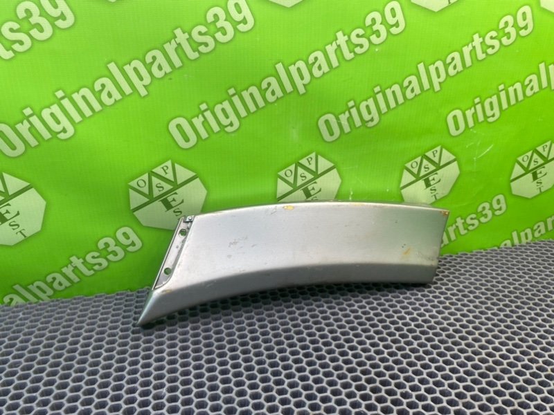 Молдинг крыла, 1000 рублей, Калининград