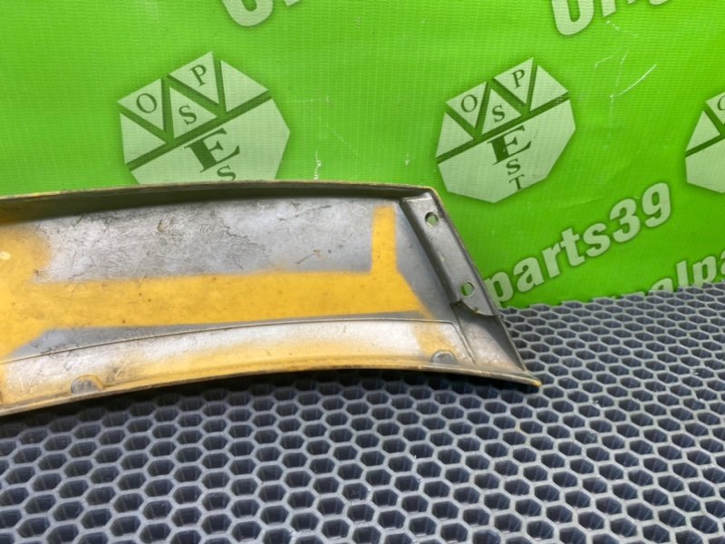 Молдинг крыла, 1000 рублей, Калининград