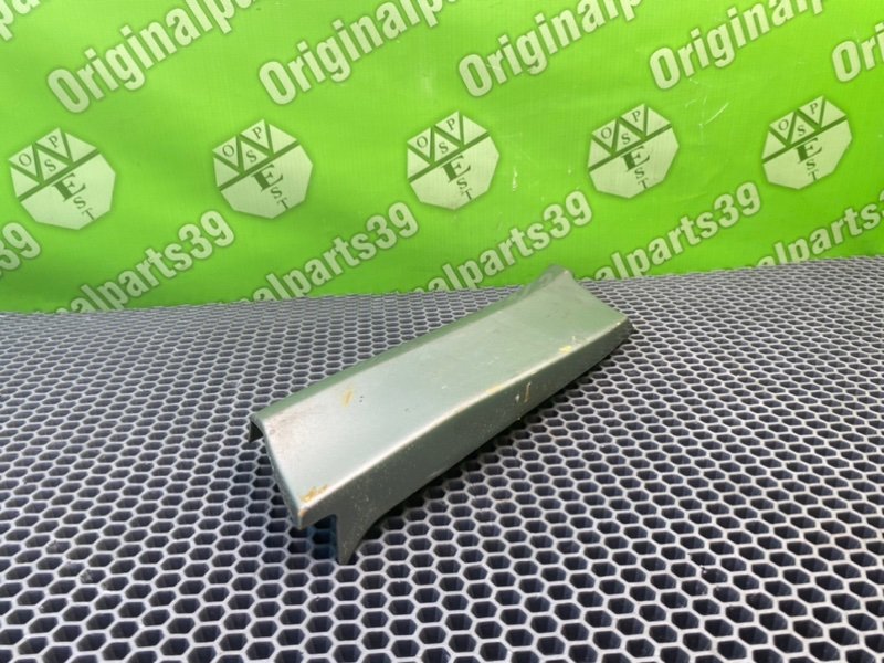 Молдинг крыла, 1000 рублей, Калининград