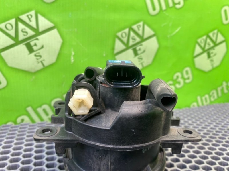 Птф, 1300 рублей, Калининград