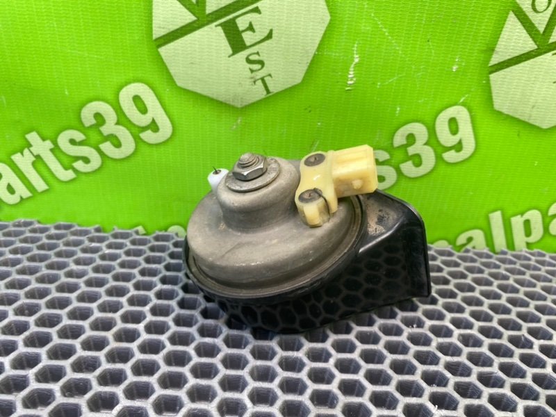 Звуковой сигнал, 1000 рублей, Калининград