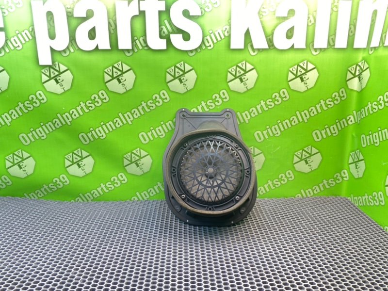 Динамик, 600 рублей, Калининград