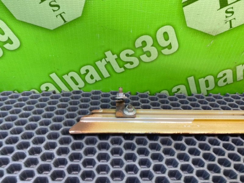 Дерево, 2100 рублей, Калининград