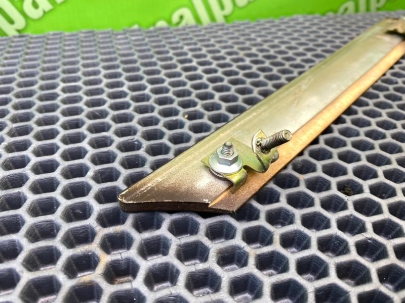 Дерево, 500 рублей, Калининград