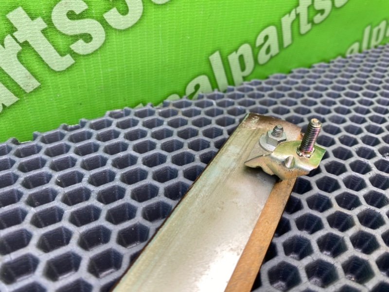 Дерево, 500 рублей, Калининград