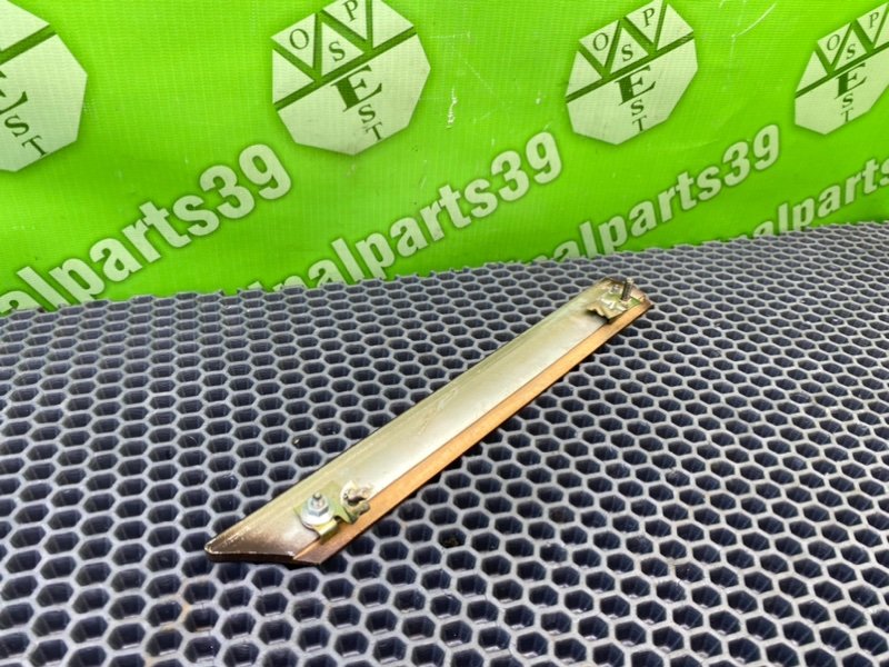 Дерево, 500 рублей, Калининград