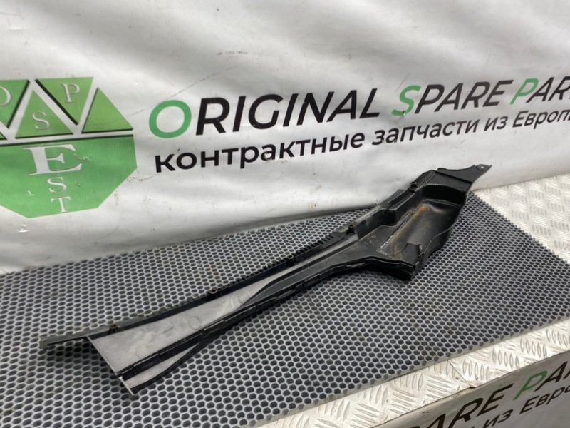 Жабо, 1000 рублей, Калининград