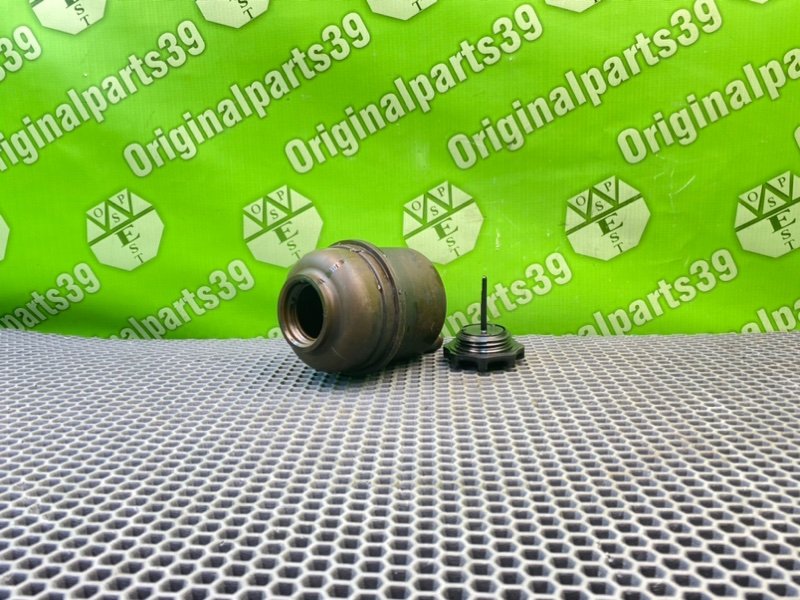 Бачок гур, 1000 рублей, Калининград