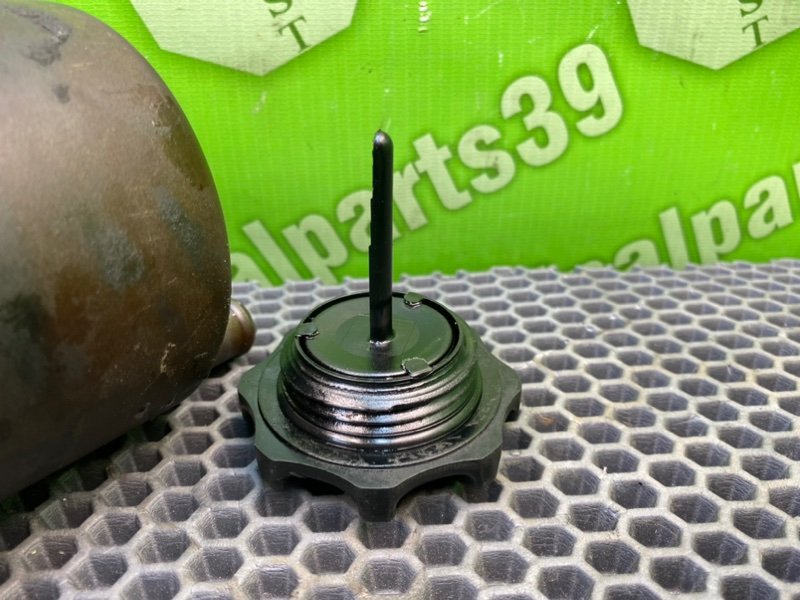 Бачок гур, 1000 рублей, Калининград