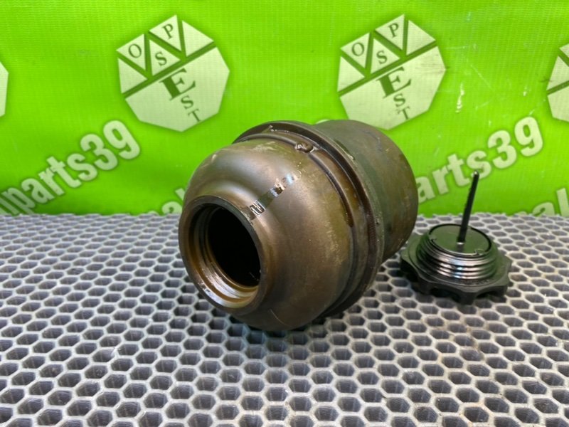 Бачок гур, 1000 рублей, Калининград